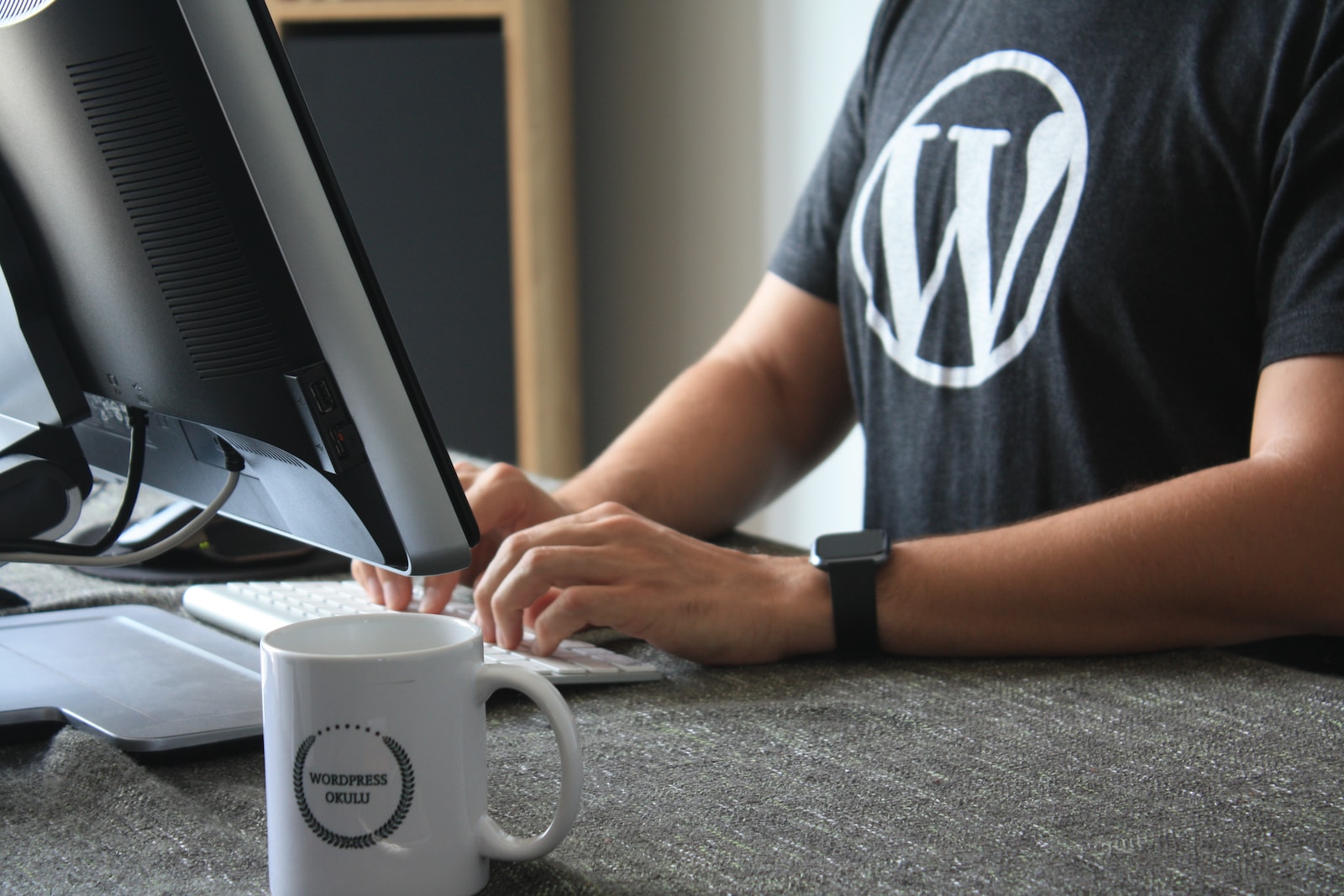 Benefits of WordPress Dev