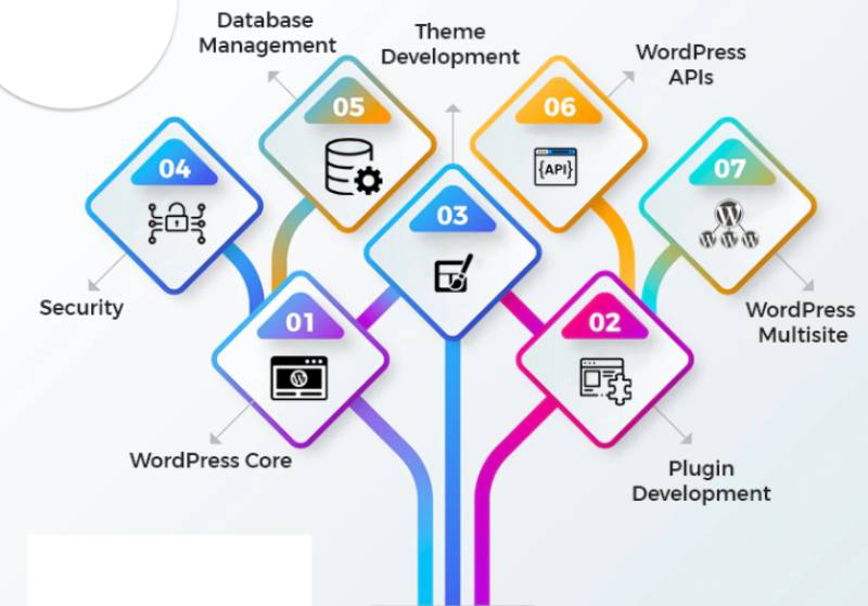 Benefits of WordPress Dev