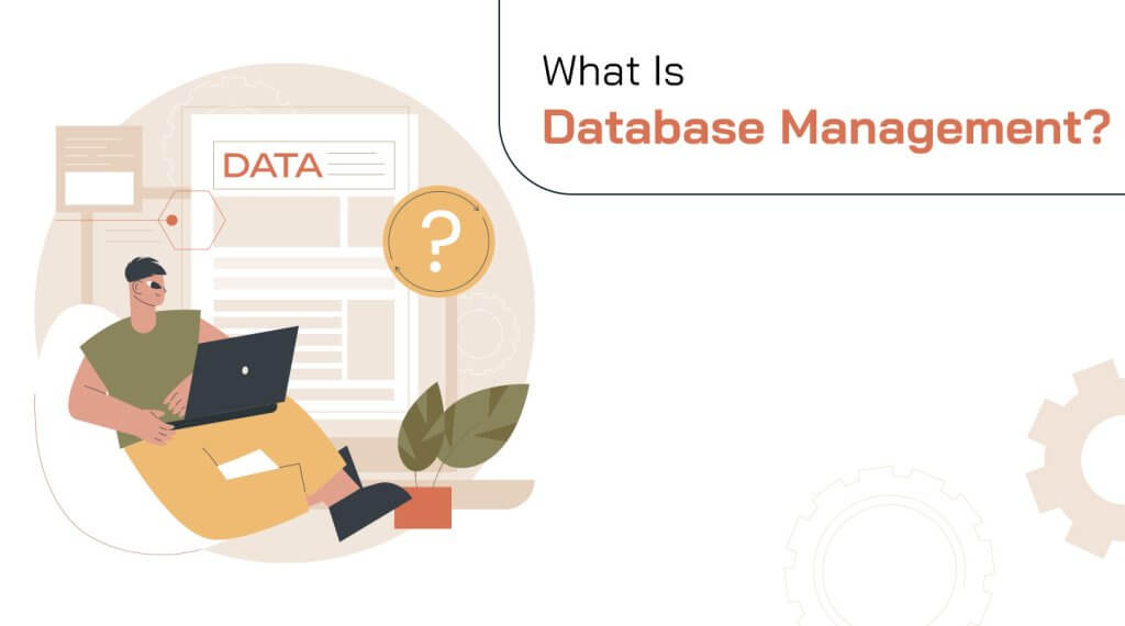 what is database management