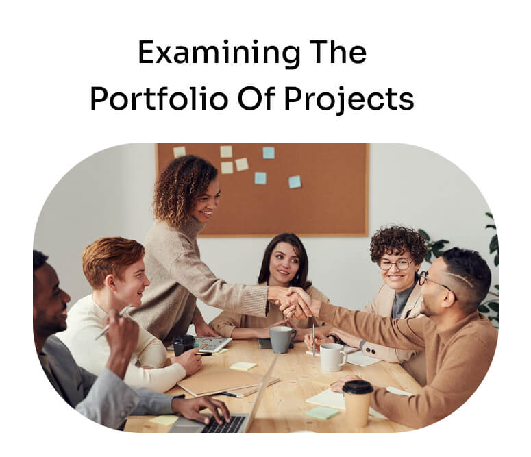 examining the portfolio of projects